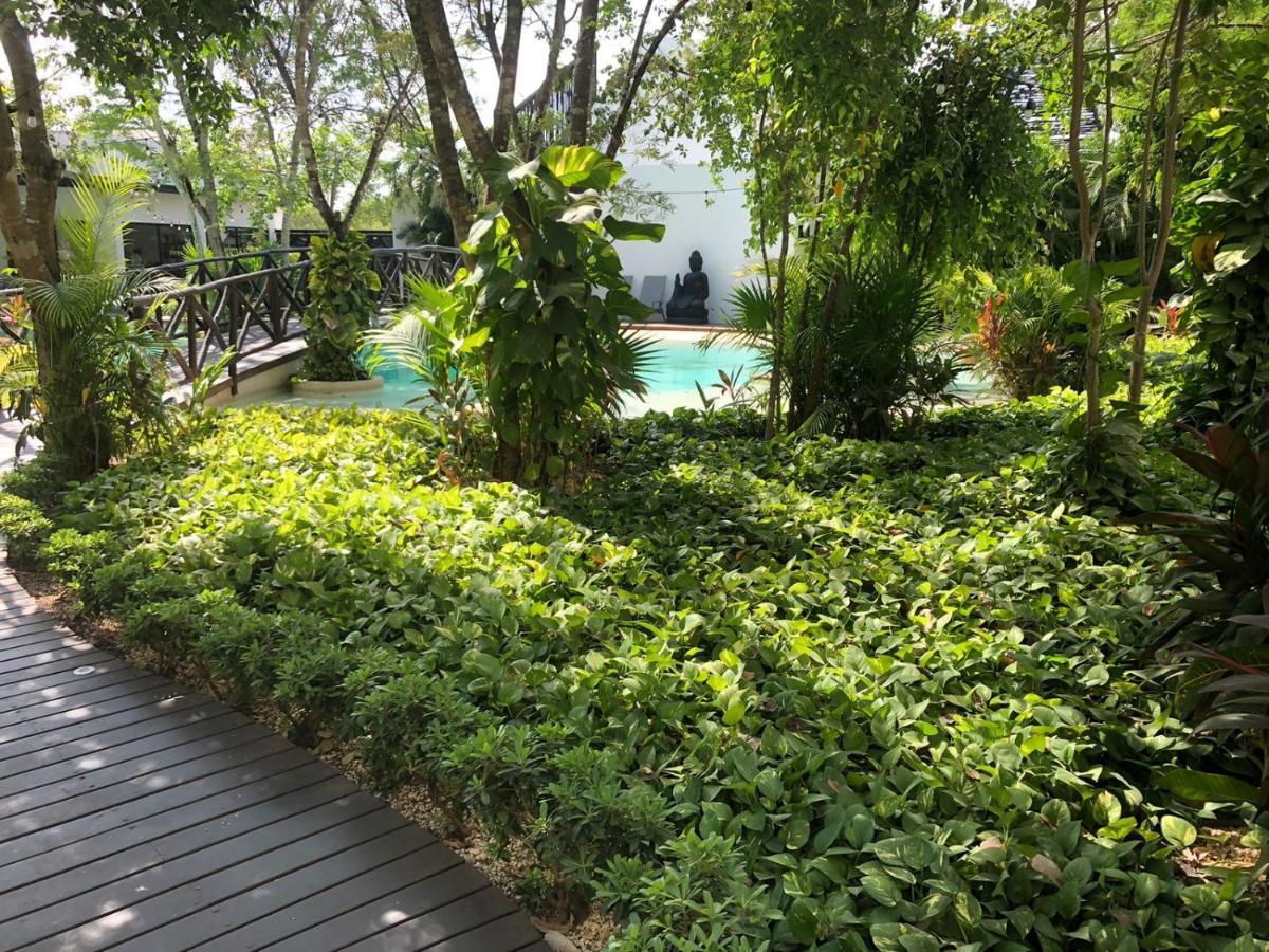 Beautiful Loft With Speed Wifi And Near From Beach * Tulum